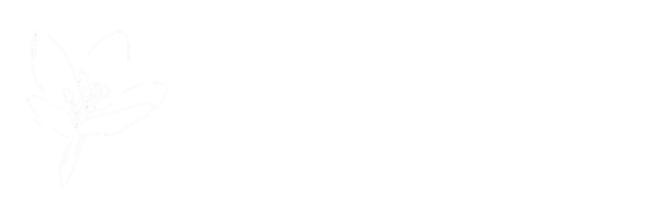 Logo de Ma Centaurée à Seloncourt